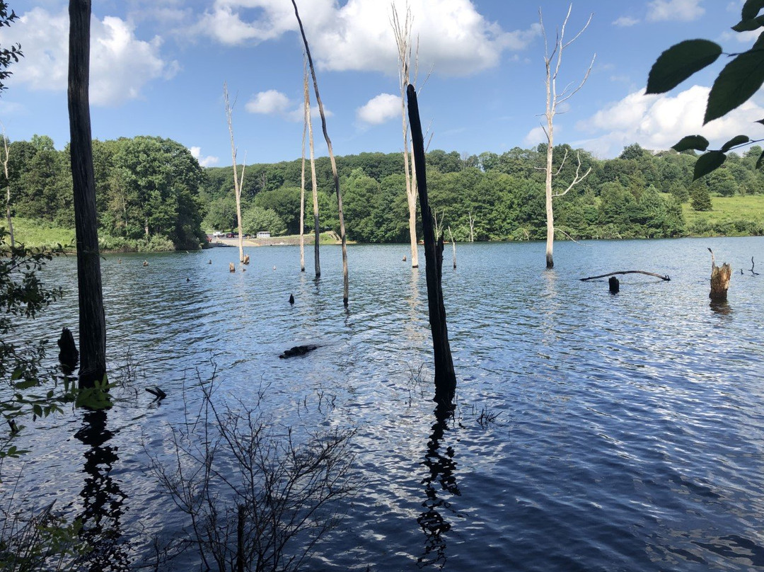 Merril Creek Reservoir景点图片