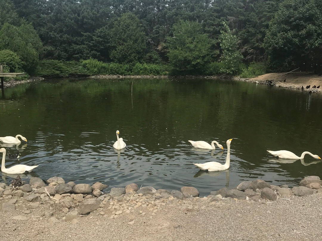 Greenview Aviaries Park and Zoo景点图片