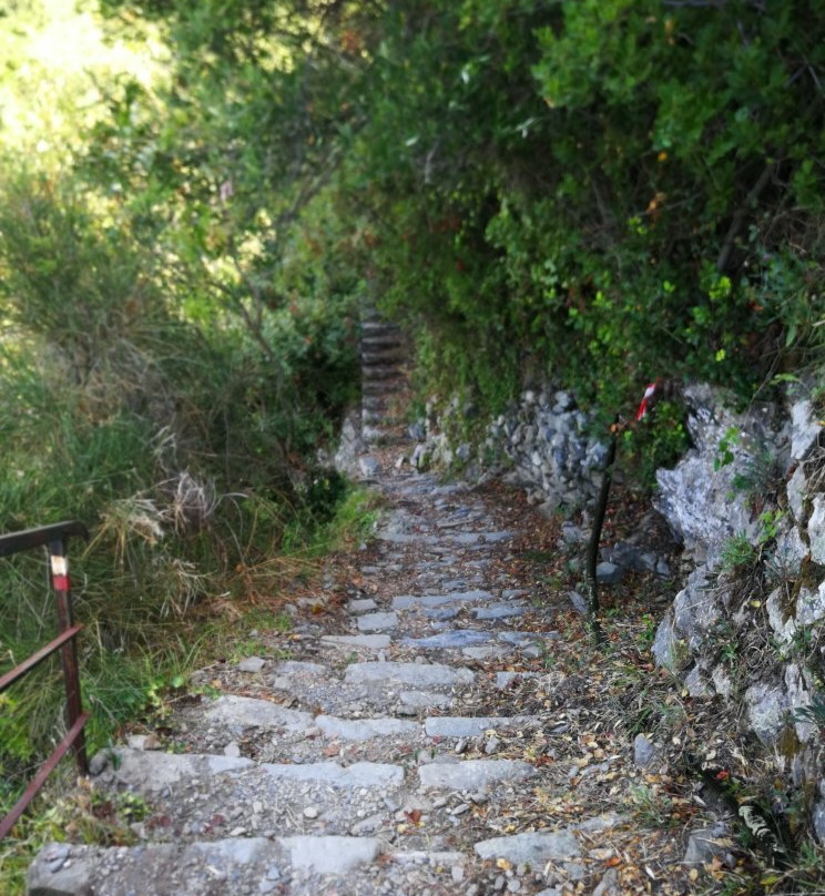 Sentiero Vernazza a Corniglia景点图片