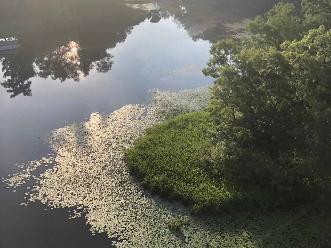 Michigan Hot Air Adventures-Howell必去景点