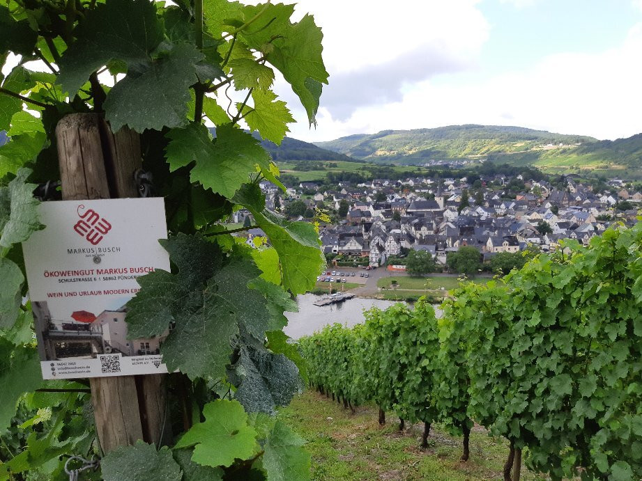 Aussichtsturm Prinzenkopf-Puenderich必去景点