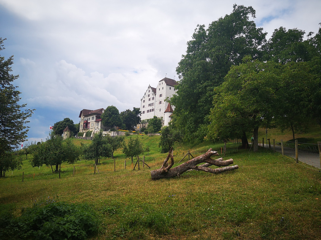 Schloss Wildegg景点图片