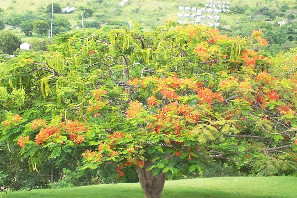 Pepeko Tours-Rio Grande必去景点