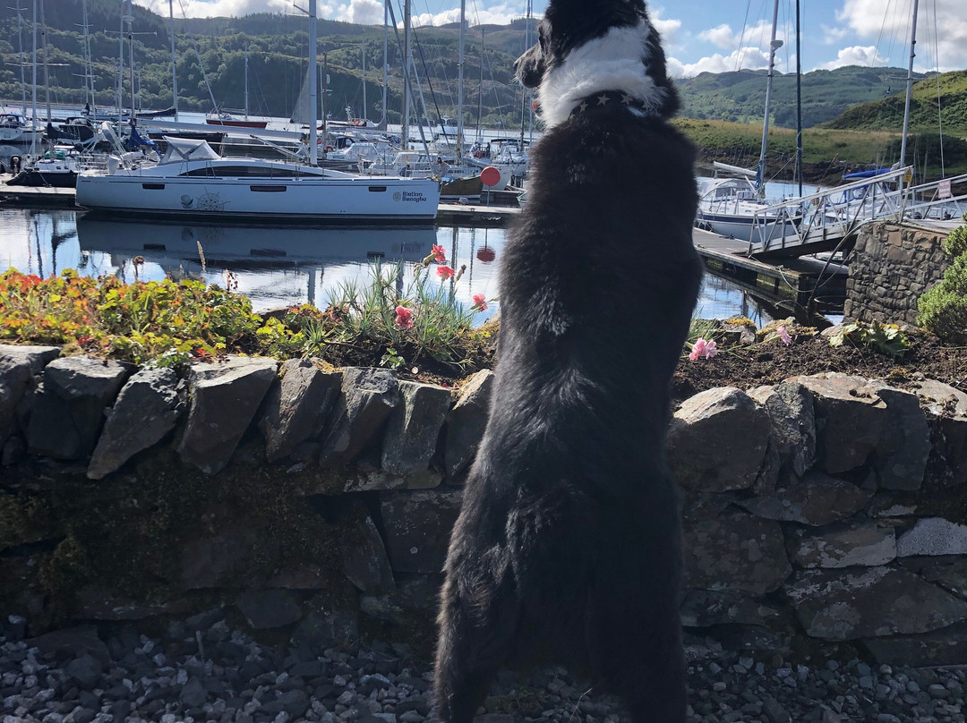 Craignish Cruises-Ardfern必去景点
