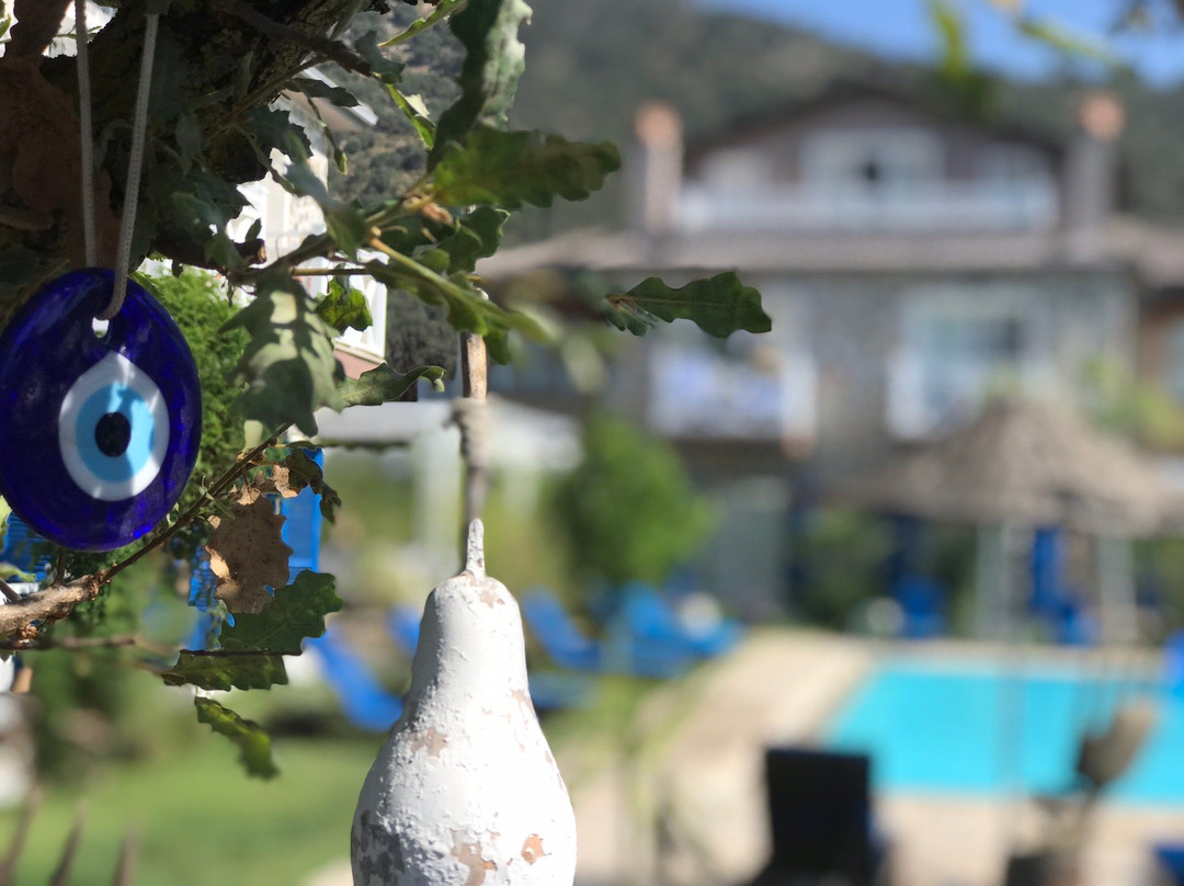 Kayakoy Boutique Hotel主图