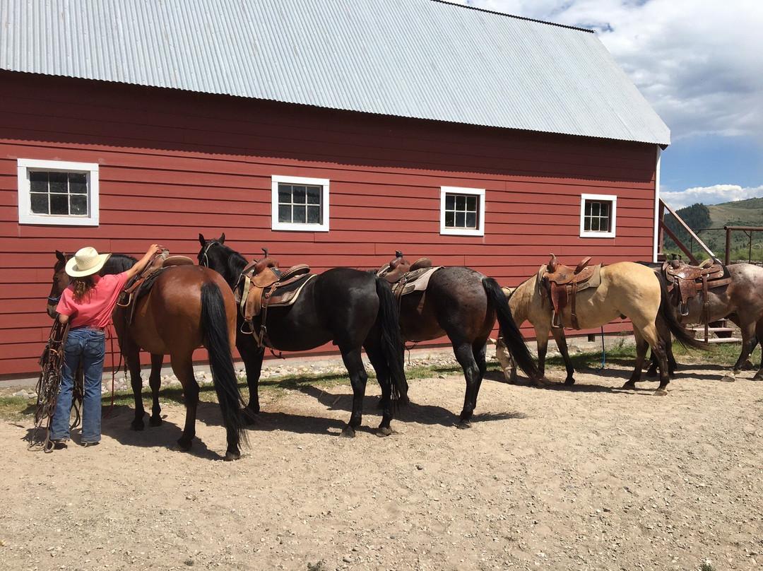 Introduction To Rodeo-威尔逊必去景点