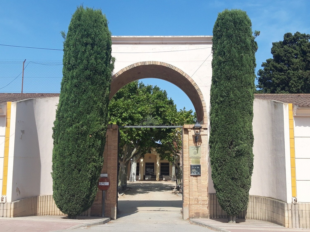 Cementerio del Masnou景点图片