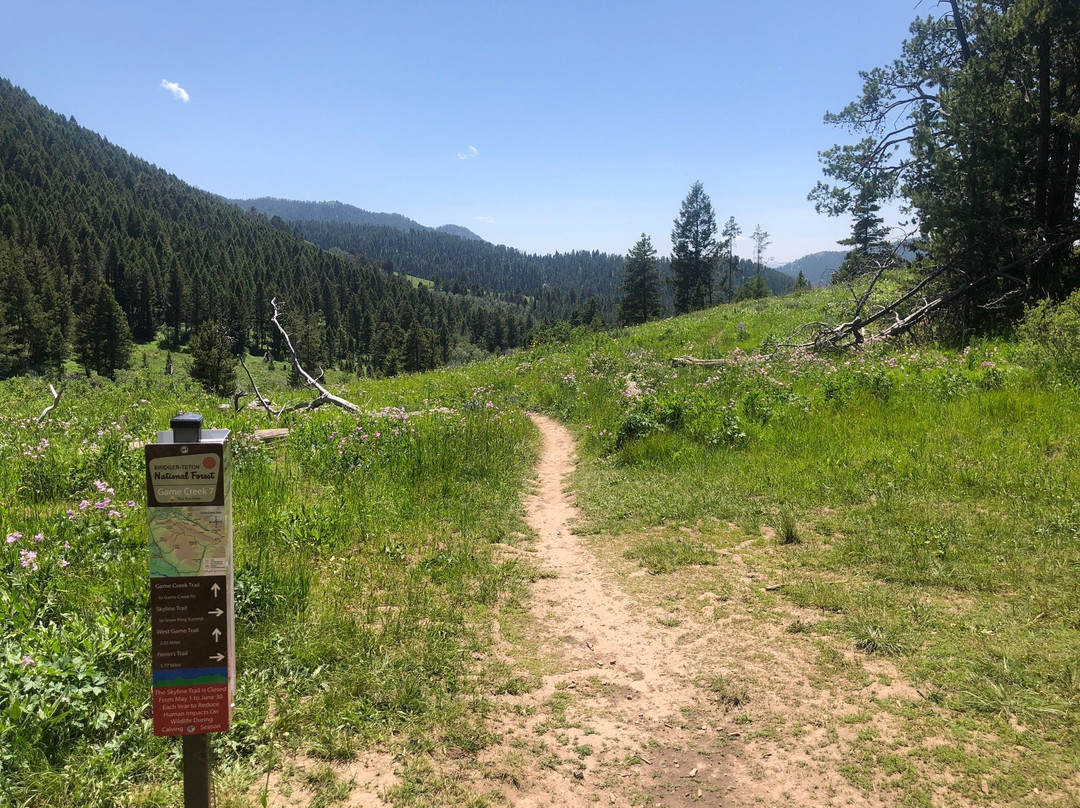 Game Creek Loop-杰克逊必去景点