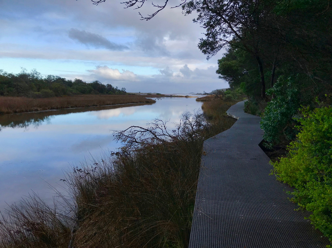 French Narrows Coastal Walk景点图片