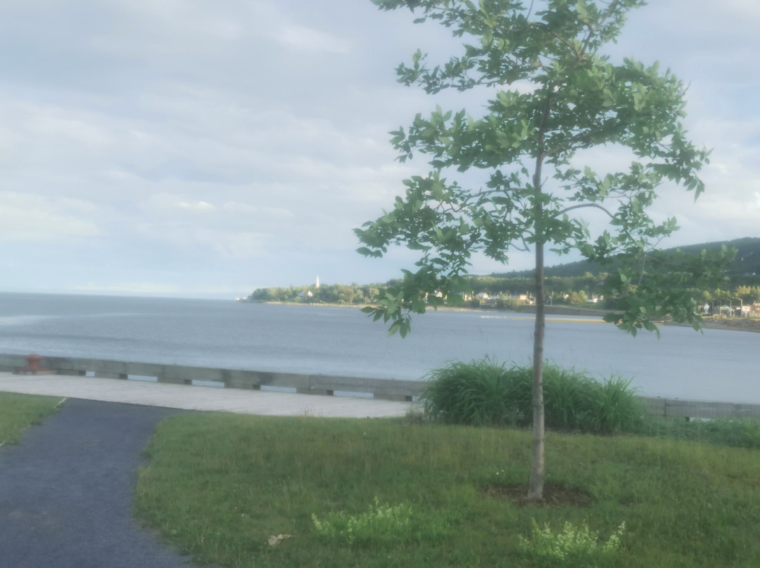 Parc Du Quai Casgrain