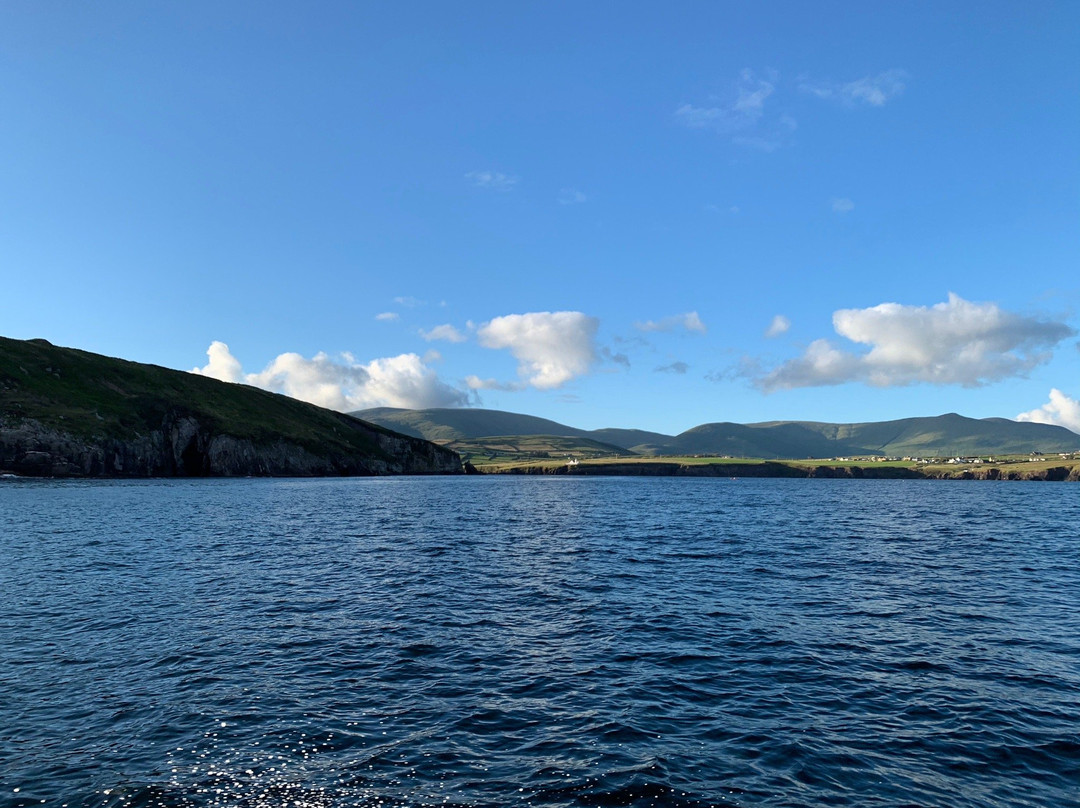 Dingle Sea Safari景点图片