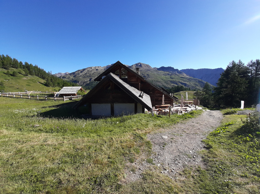 Refuge Buffere主图