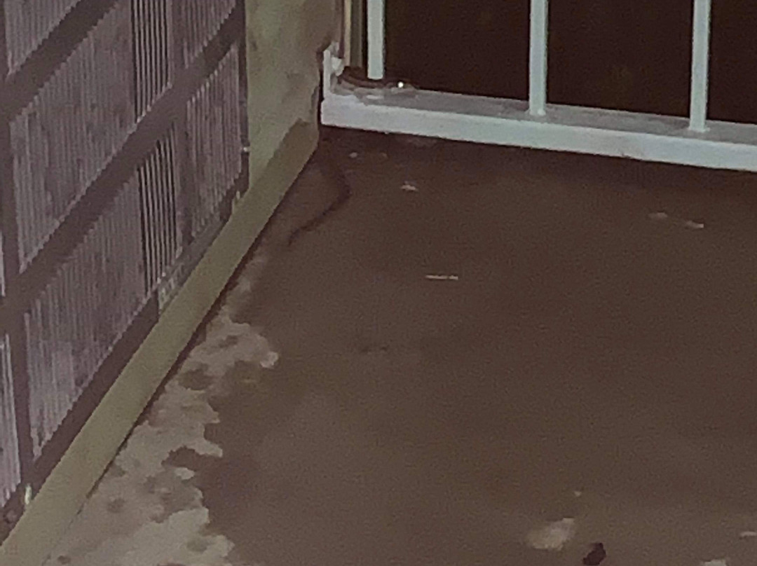 Super 8 by Wyndham Madison主图