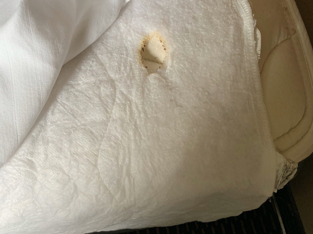 Quality Inn Morris I-80主图