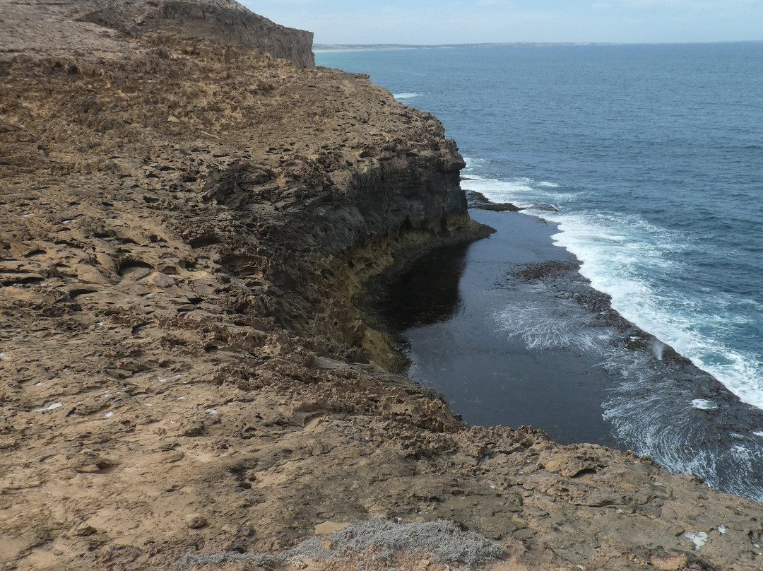 Whistling Rocks and the Blowholes-Streaky Bay必去景点