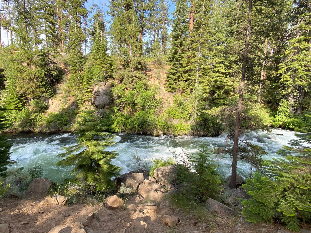 Trail to Benham Falls景点图片