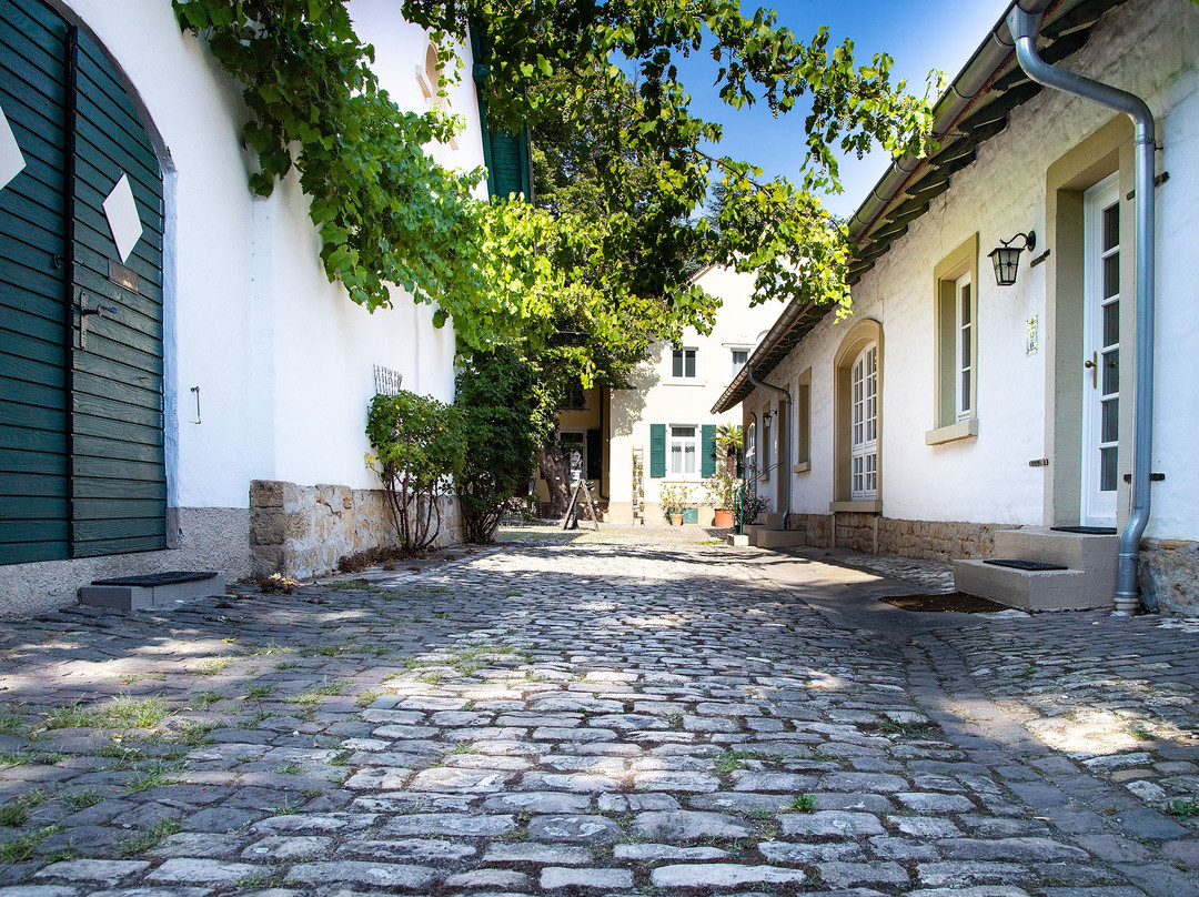 Halbersbacher Hotel Annaberg主图