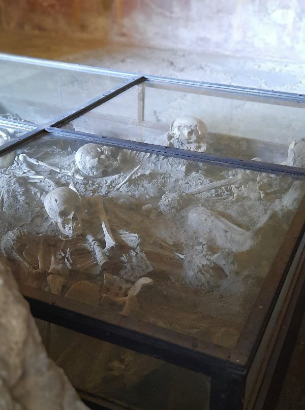 Alex Tour Pompeii-庞贝必去景点