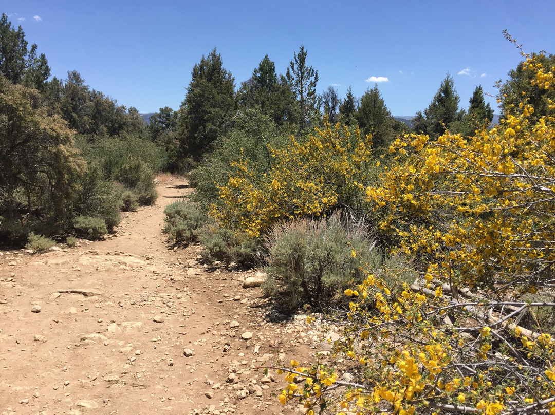 Cougar Crest Trail-大熊湖必去景点