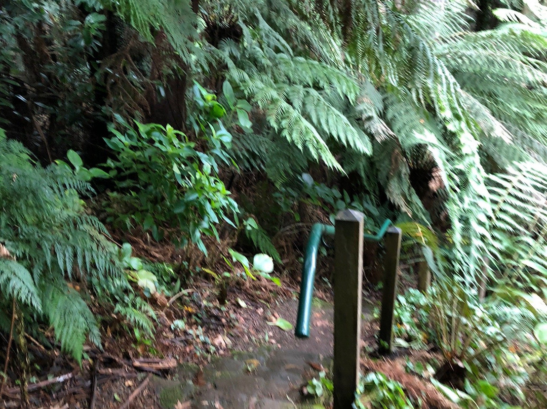 Pirianda Garden-奥林达必去景点