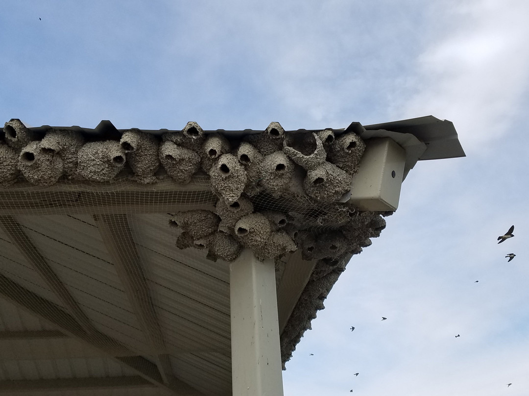 Stillwater National Wildlife Refuge景点图片