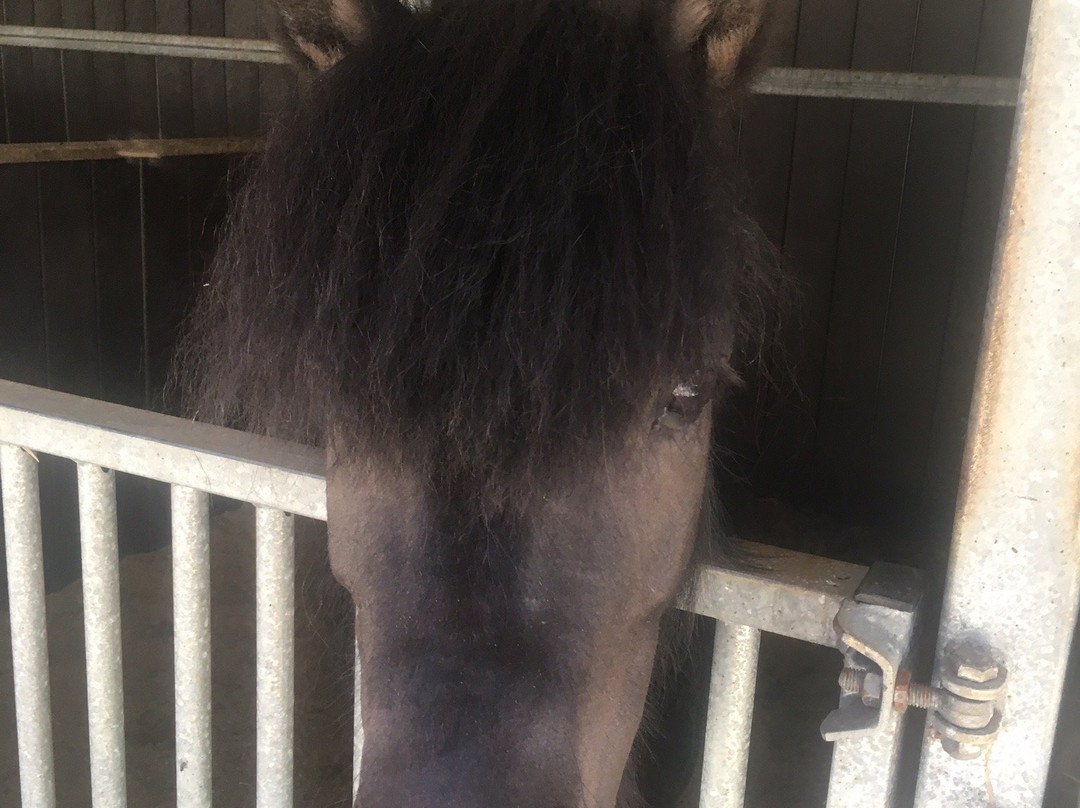 Centre Equestre de la Prade-Messanges必去景点