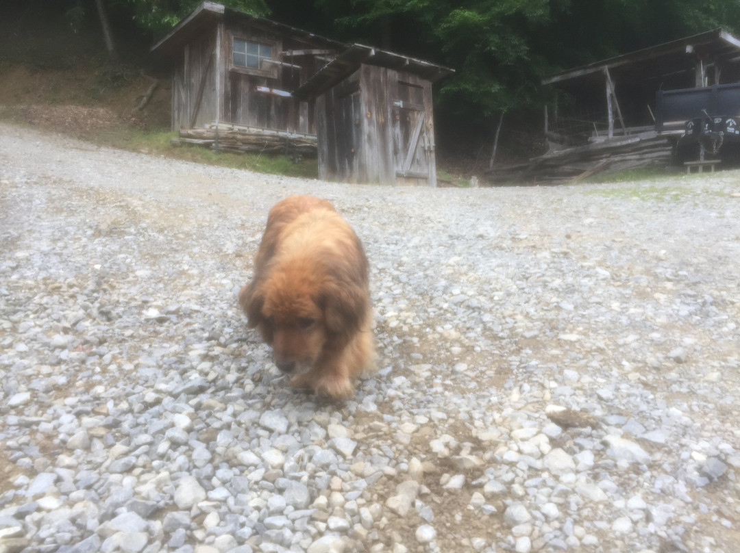 Twin Valley Bed and Breakfast and Horse Ranch主图