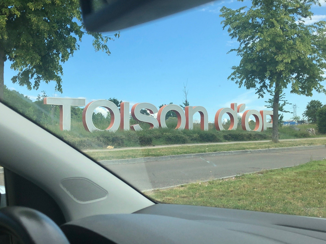 Centre commercial de la Toison d'Or景点图片