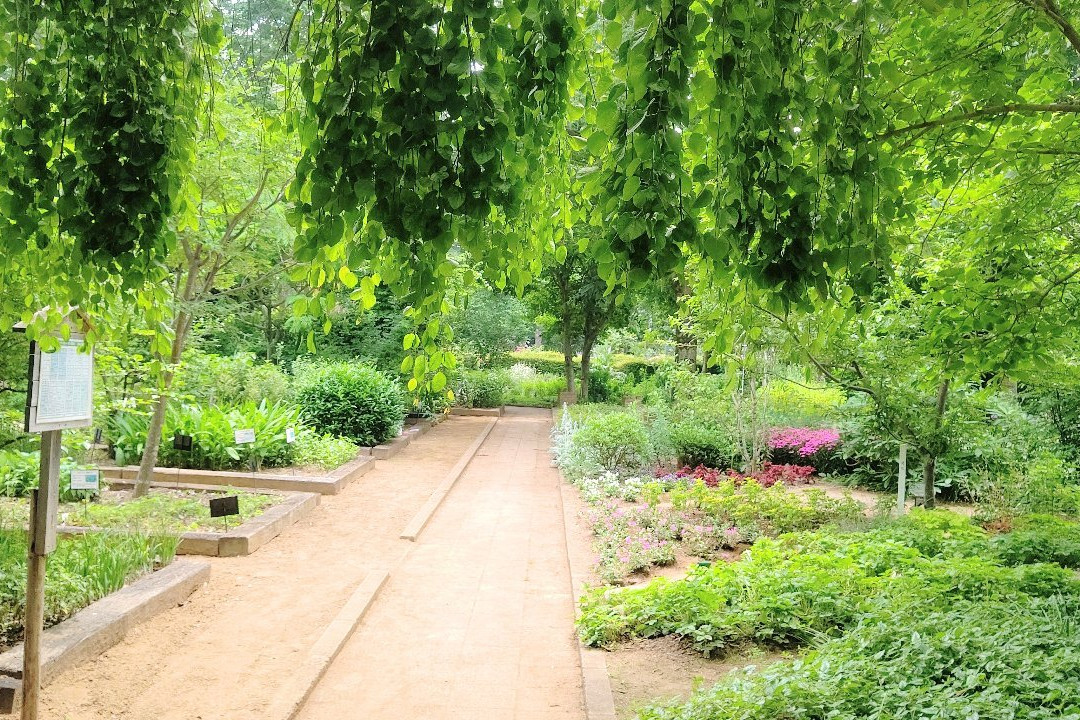 Fukaya Green Kingdom-深谷市必去景点