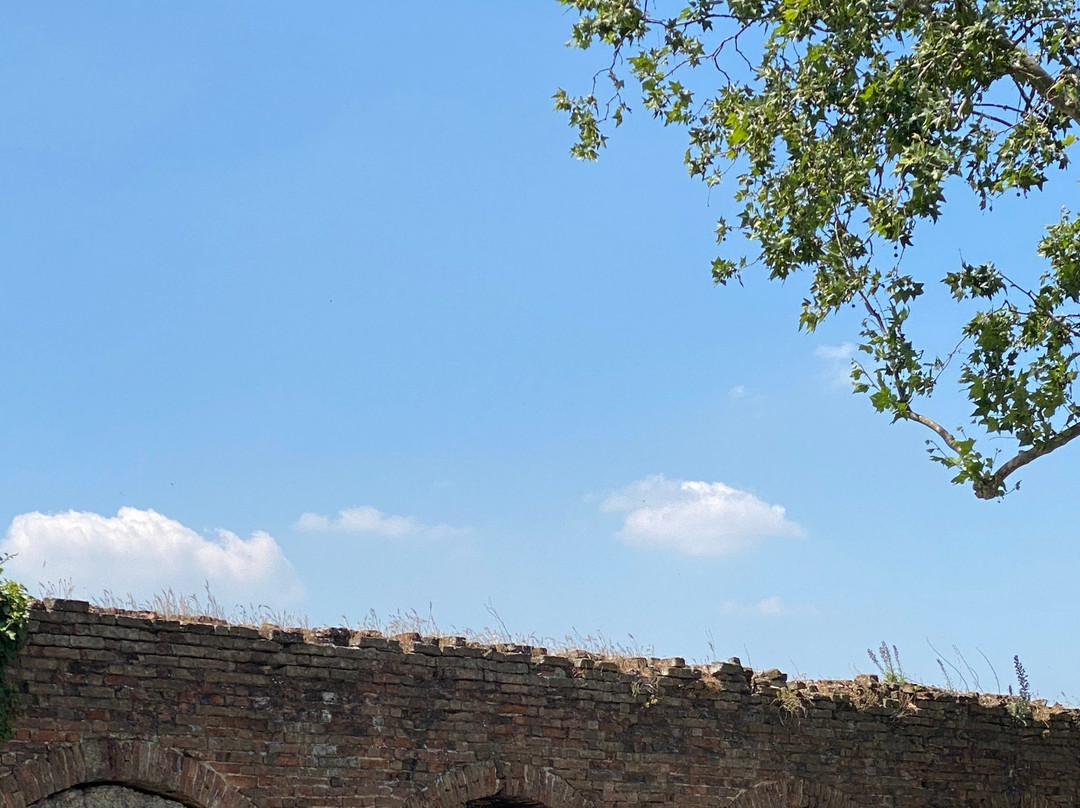 Mura farnesiane景点图片