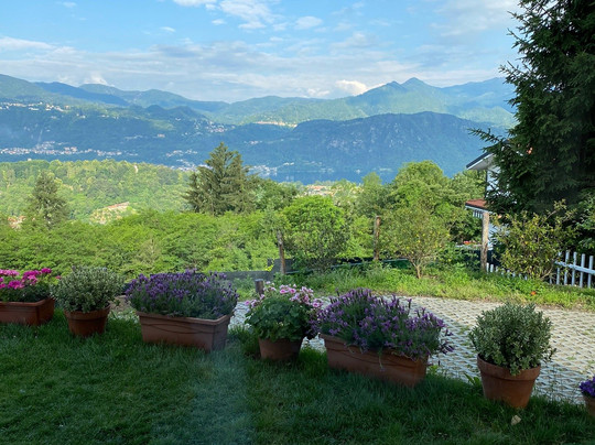 Lavanda e Rosmarino主图