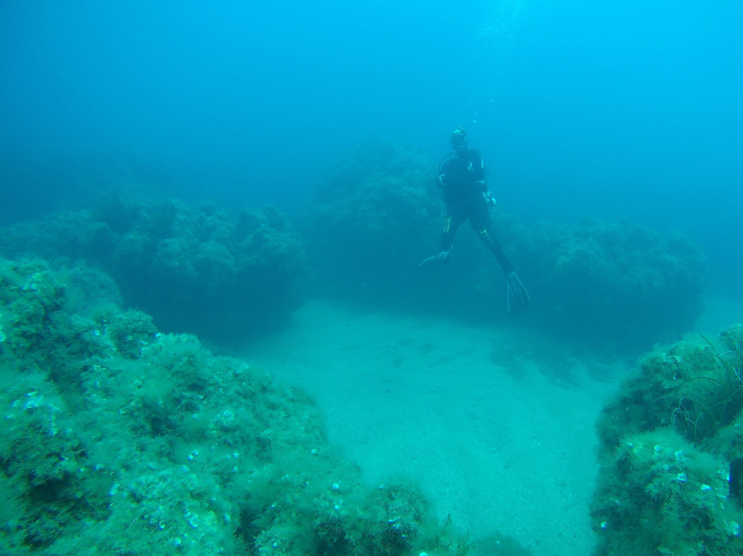 Ileia Dive Center-Pyrgos必去景点