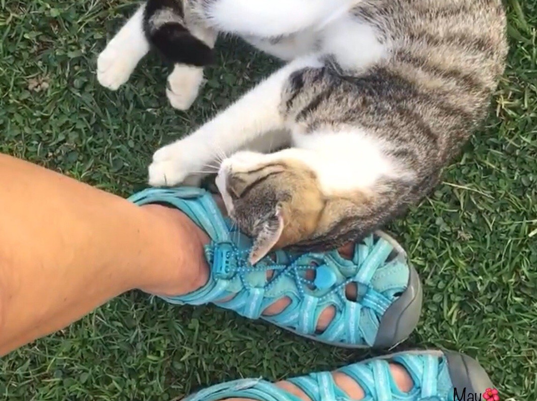 Piramide de Aguada-Aguada必去景点