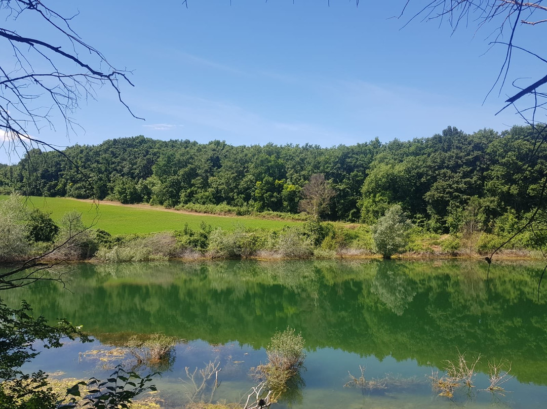 Riserva Naturale Macchia di Gattaceca e Macchia del Barco景点图片