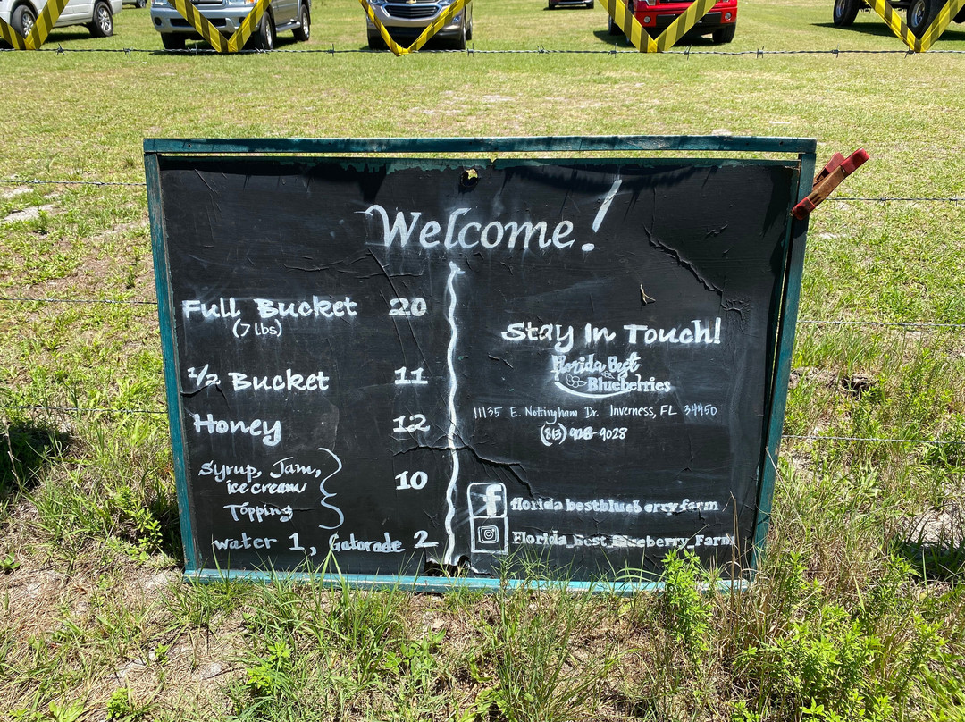 Florida Best Blueberry Farm-因弗内斯必去景点