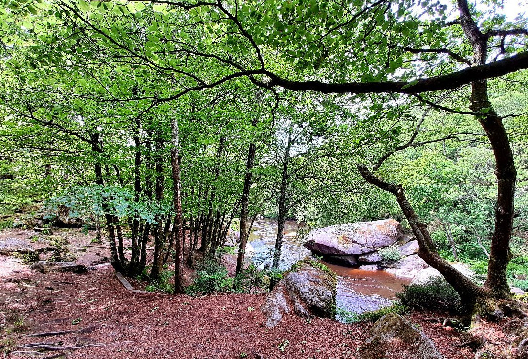 Les Roches Du Diable-Guilligomarc’h必去景点
