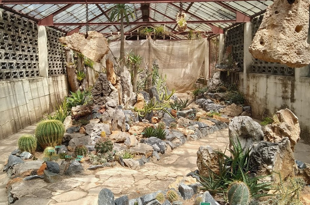 Jardín Botanico de Cienfuegos-西恩富戈斯必去景点