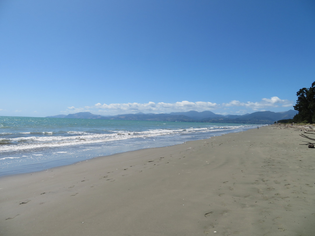 Moturoa / Rabbit Island景点图片