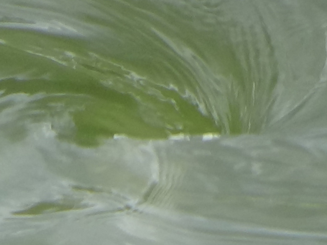 Yodha Wewa-马纳尔必去景点