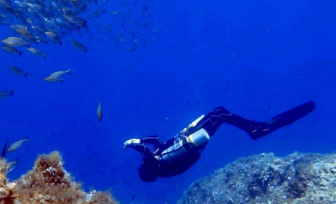 Canary Divers-布莱克本必去景点