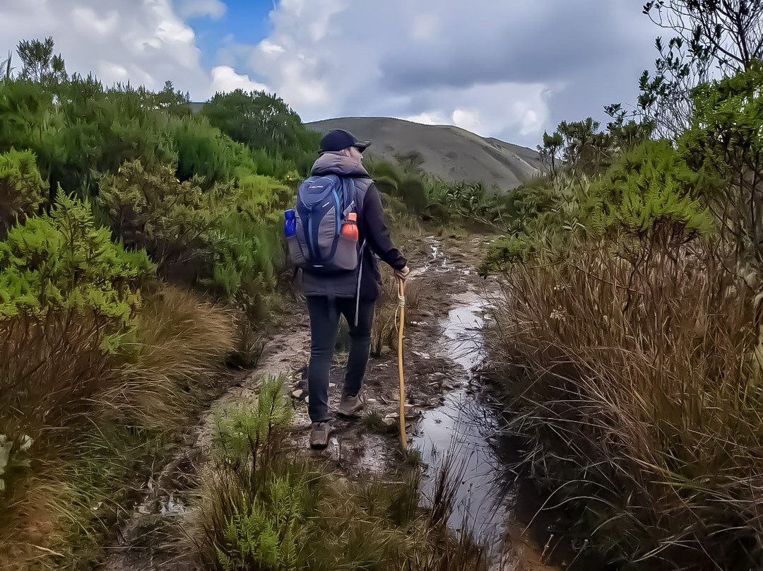 Tybyn Geo Lodge主图