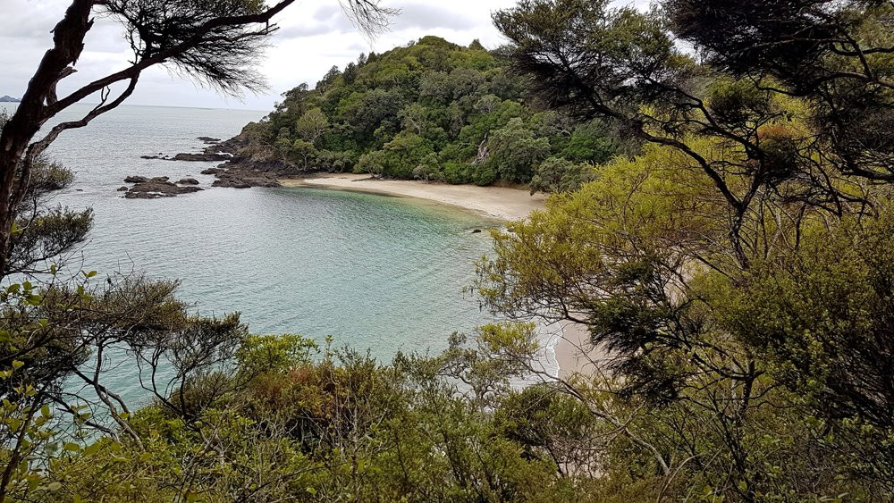 Whale Bay-Matapouri必去景点