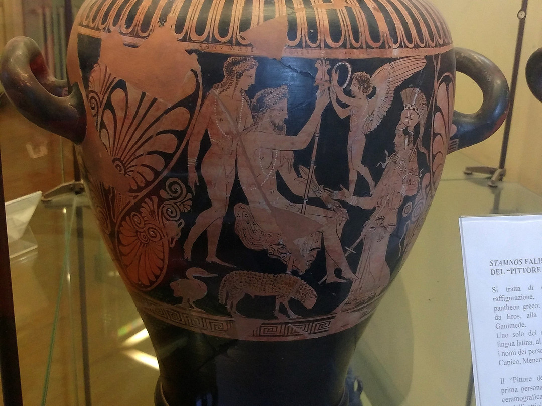 Museo Archeologico dell'Agro Falisco景点图片