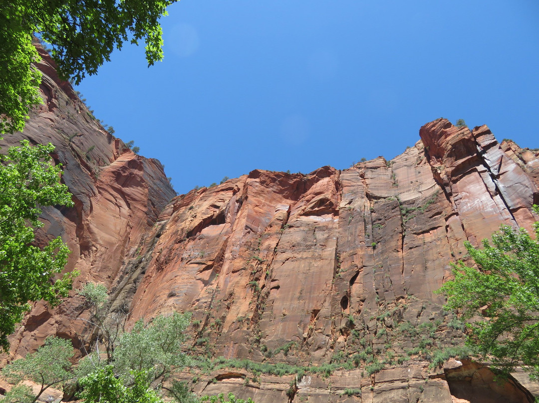 Temple of Sinawava Trail-锡安国家公园必去景点