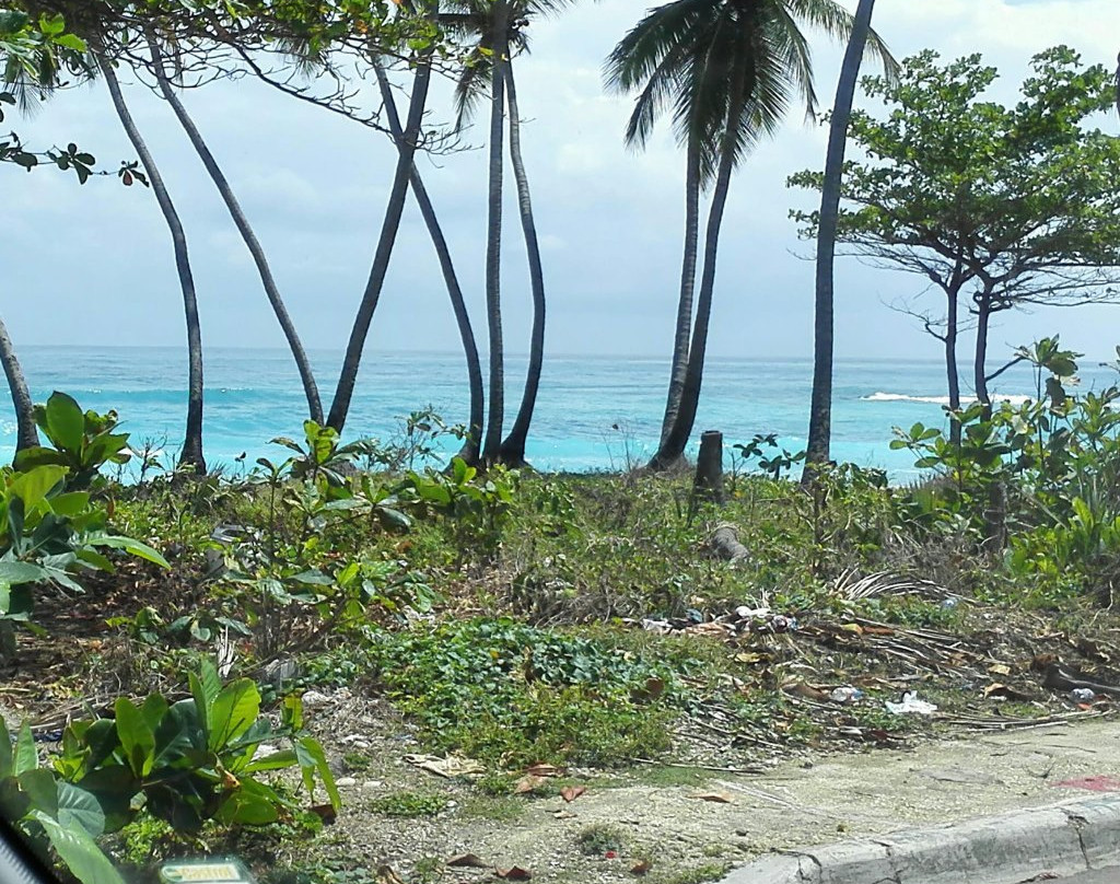 Plaza Enriquillo-Azua必去景点
