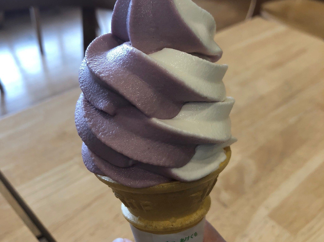 Michi-no-Eki Tojunosato Adokawa-高岛市必去景点