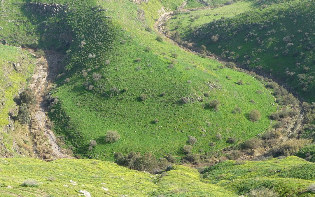 Yehudiya Forest Nature Reserve-Katzrin必去景点