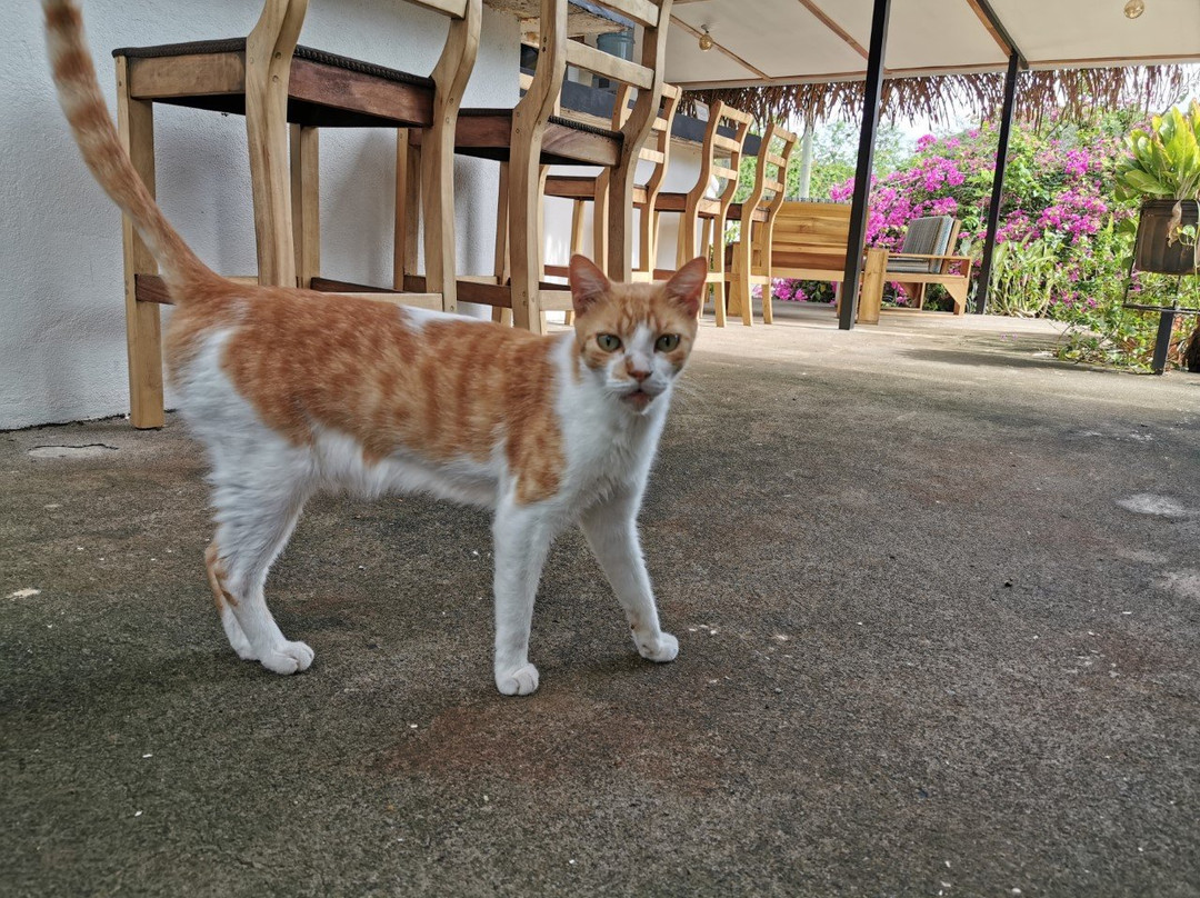 Drift Away Lodge主图