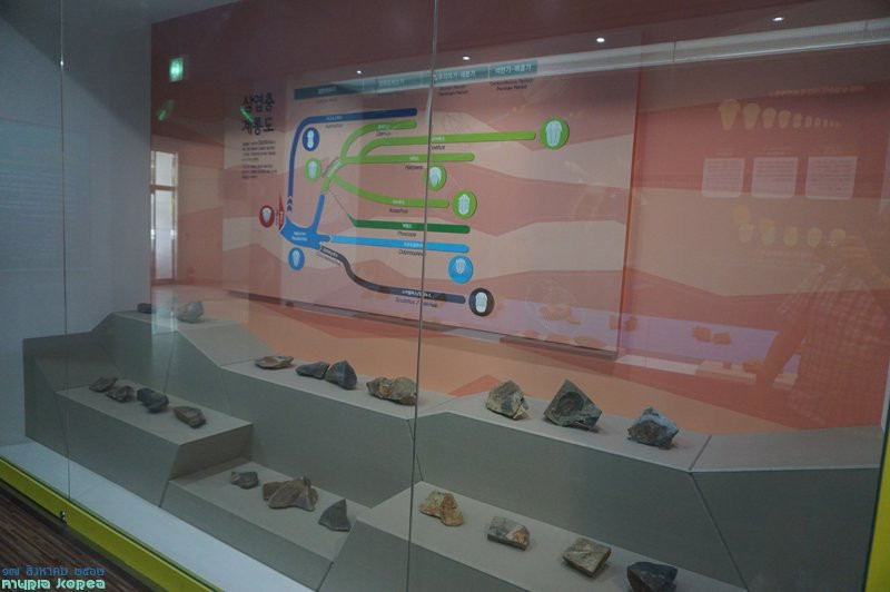 Yanggu Prehistory Museum-杨口郡必去景点