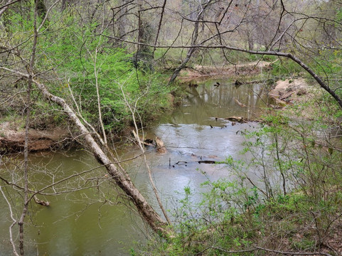 Suwanee Creek Greenway-苏万尼必去景点
